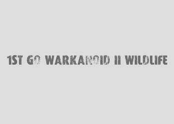 Обложка игры 1st Go Warkanoid 2: WildLife