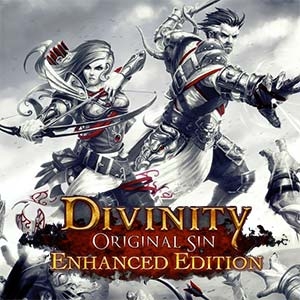 Обложка игры Divinity: Original Sin - Enhanced Edition