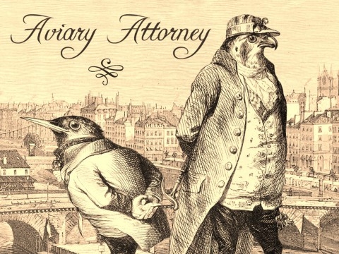 Обложка игры Aviary Attorney