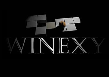 Обложка игры Winexy