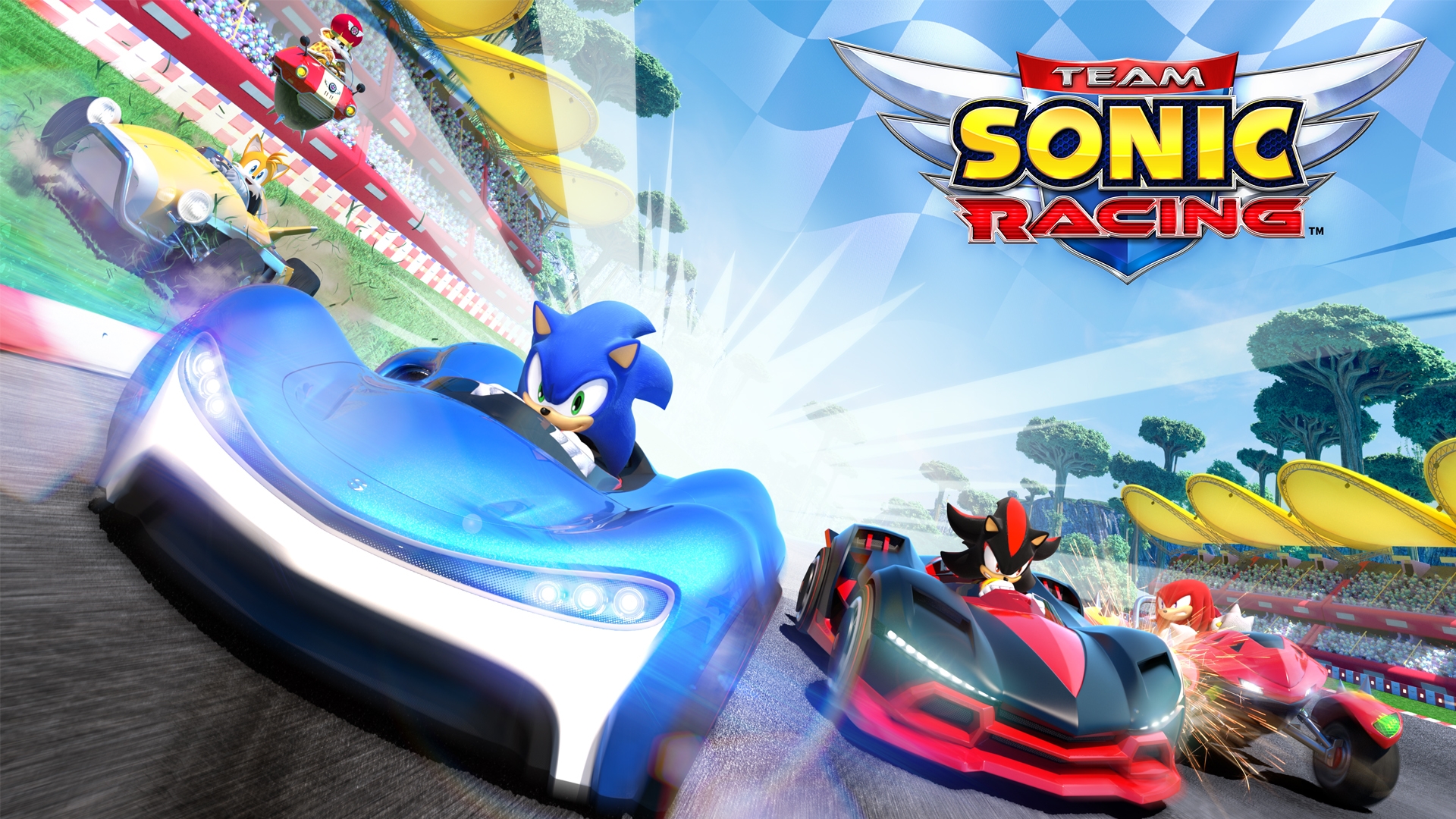 Обложка игры Team Sonic Racing