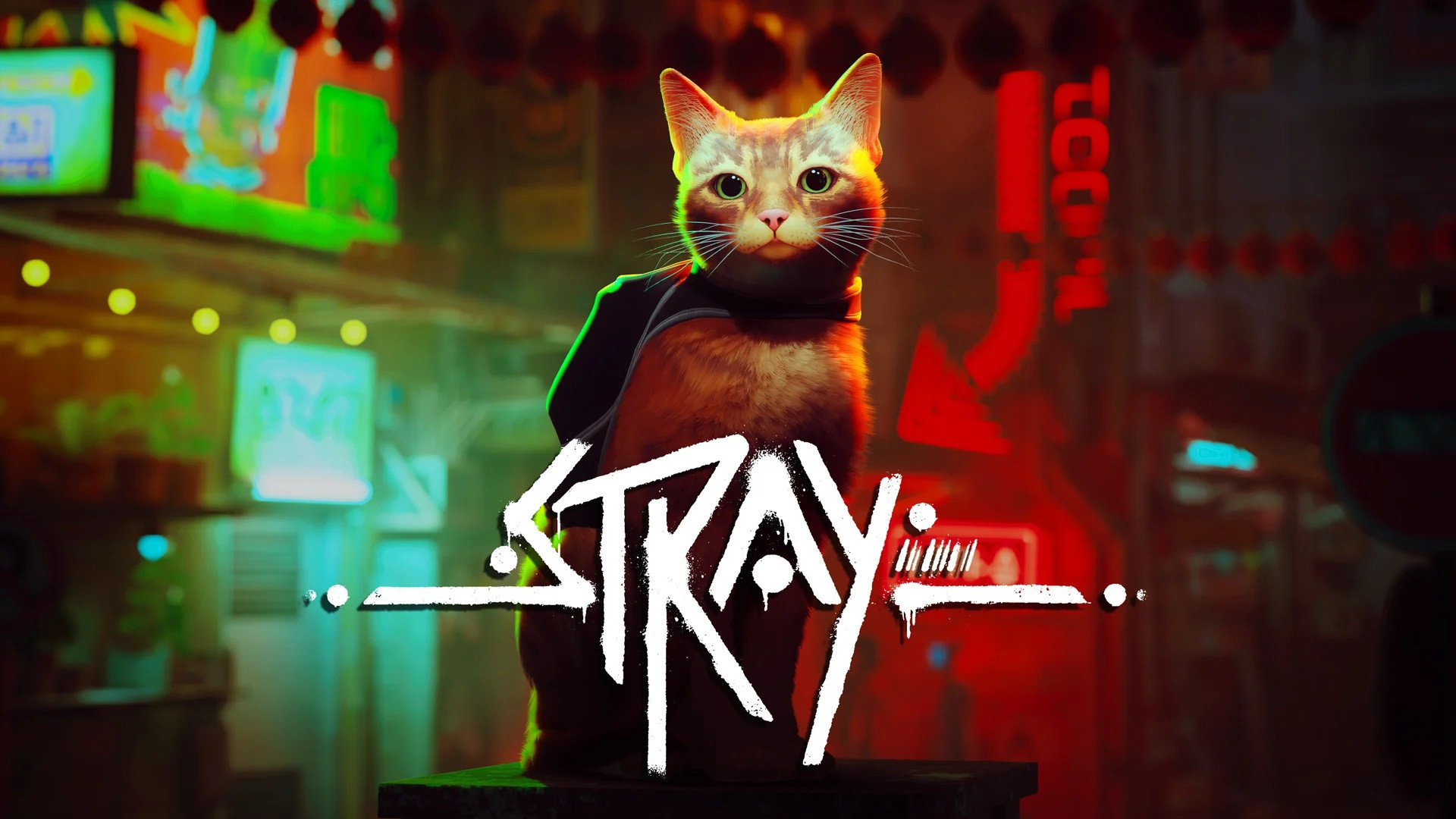 Обложка игры Stray