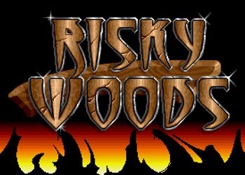 Обложка игры Risky Woods