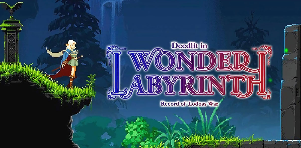 Обложка игры Record of Lodoss War: Deedlit in Wonder Labyrinth