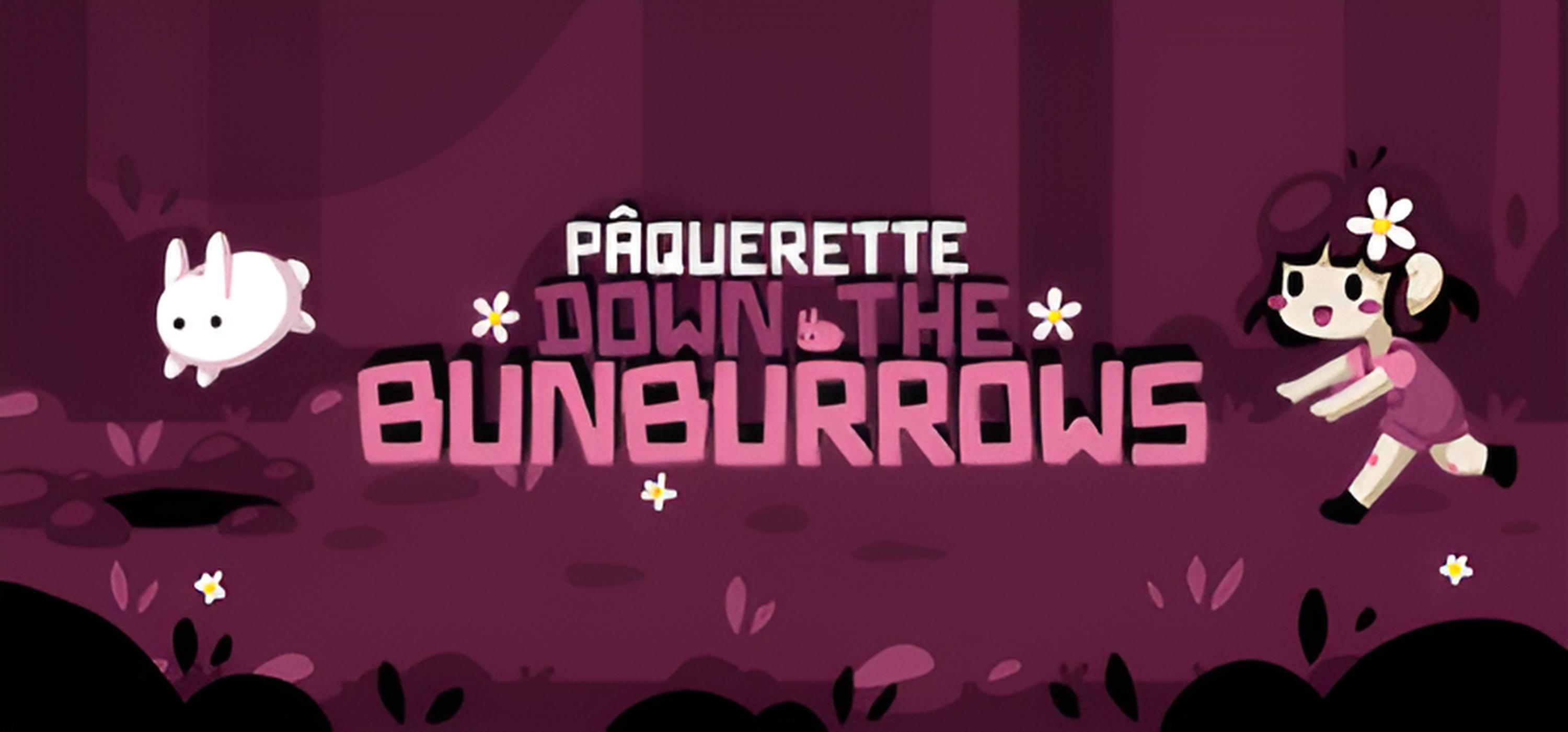 Обложка игры Paquerette Down the Bunburrows