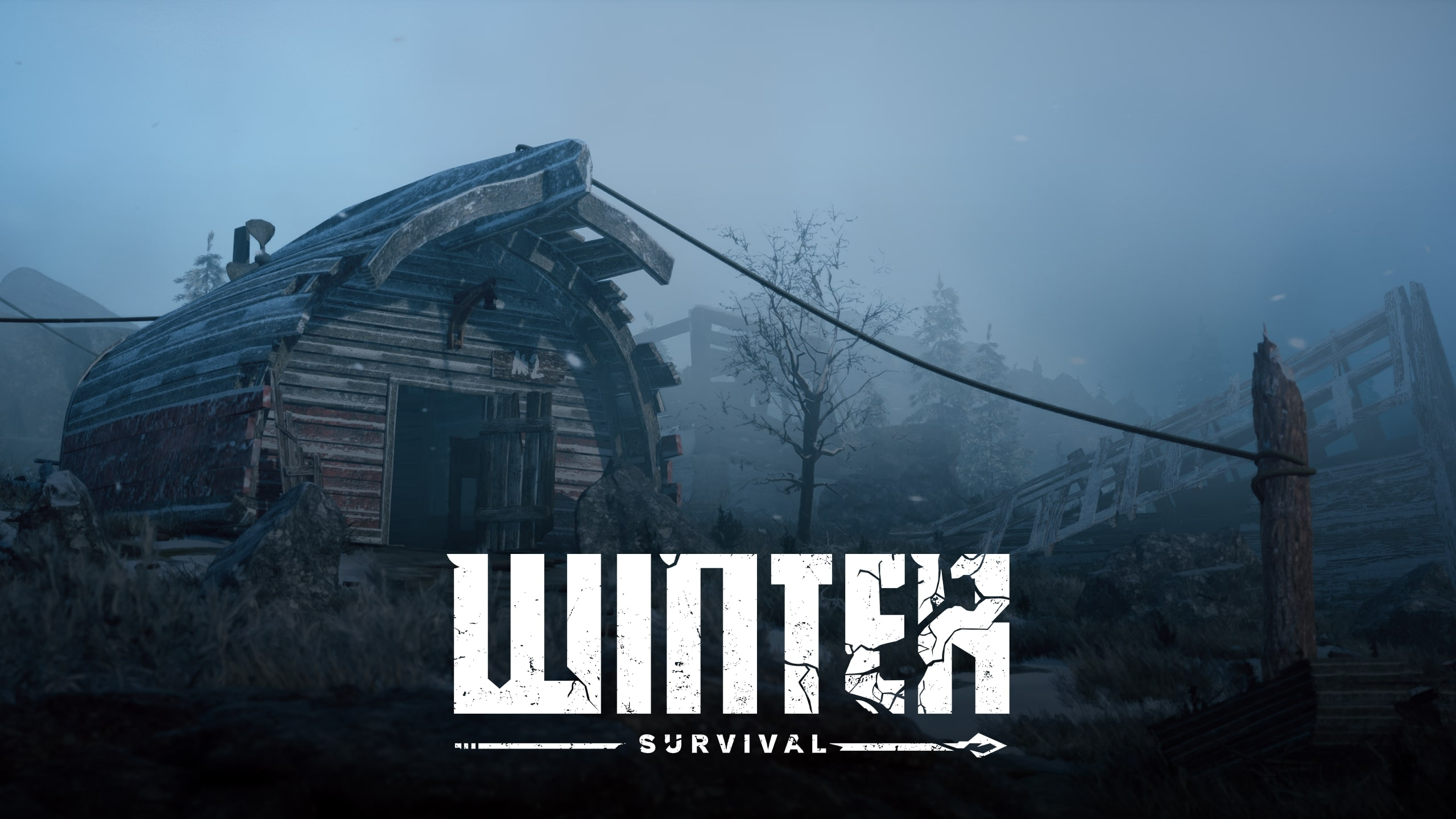 Обложка игры Winter Survival