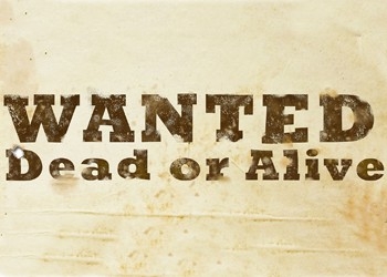 Обложка игры Wanted: Dead or Alive
