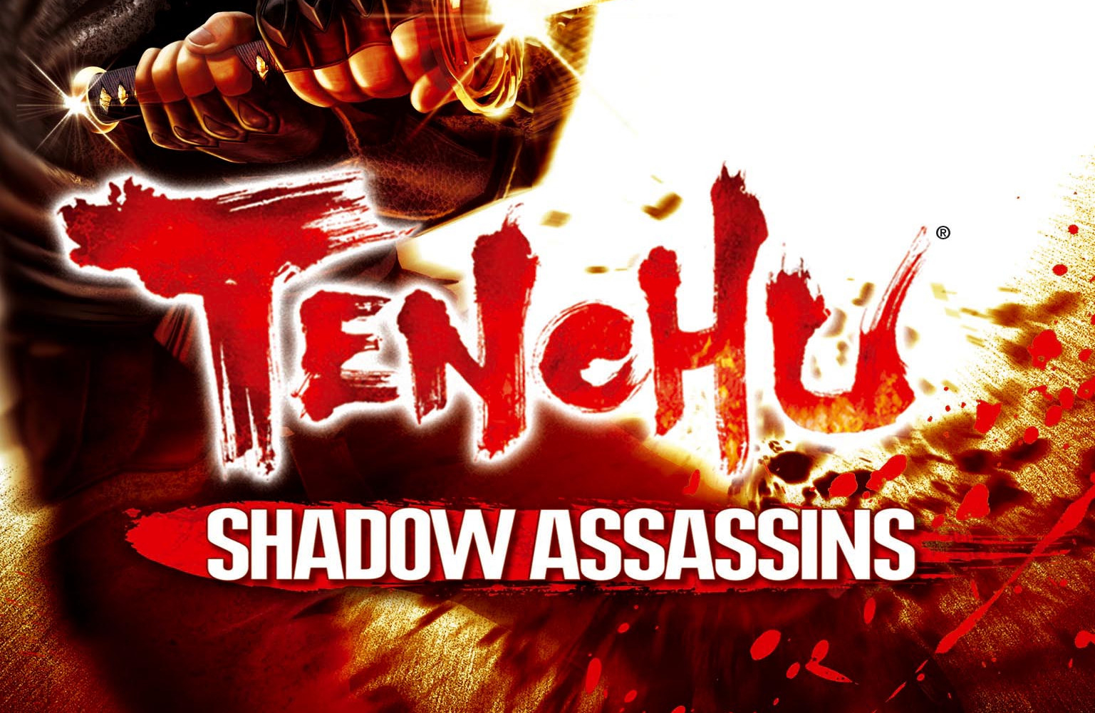 Обложка игры Tenchu: Shadow Assassins