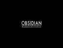 Новость Слухи о новом проекте Obsidian Entertament