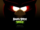 Новость Angry Birds Space скачан 10 миллионов раз