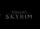 Новость Бонусы предзаказа Skyrim