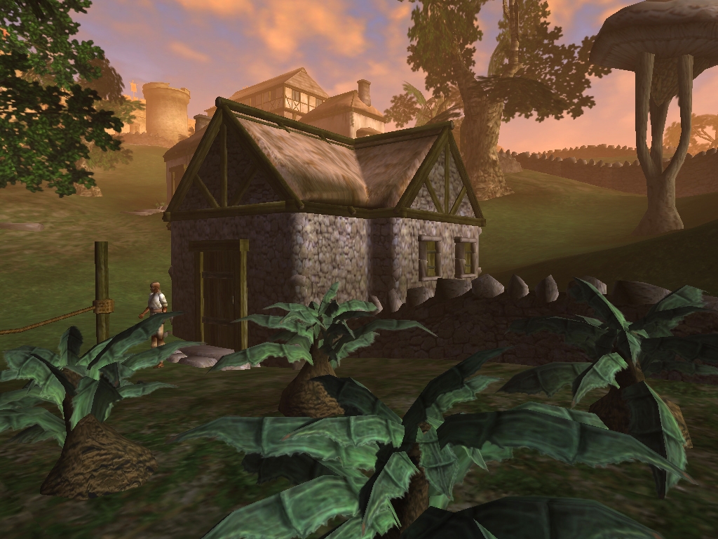 Скриншот из игры Elder Scrolls 3: Morrowind, The под номером 13