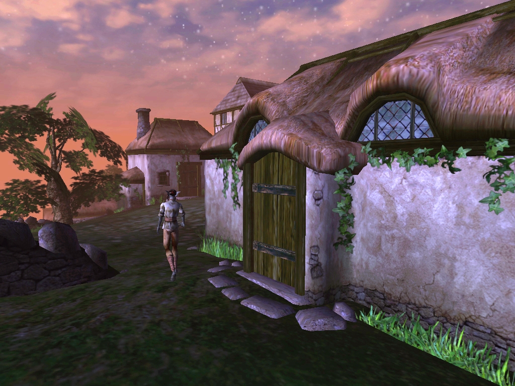 Скриншот из игры Elder Scrolls 3: Morrowind, The под номером 16