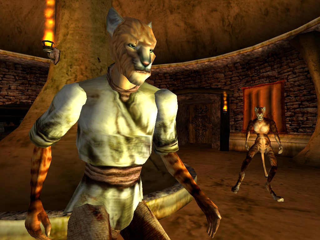 Скриншот из игры Elder Scrolls 3: Morrowind, The под номером 34