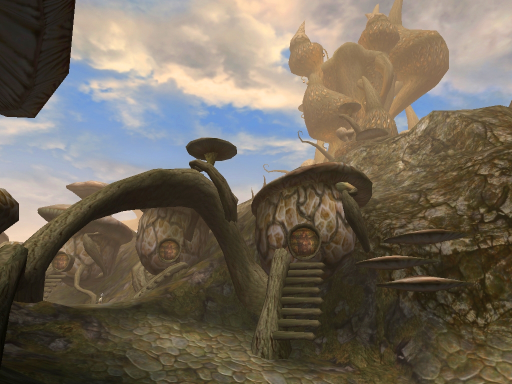 Скриншот из игры Elder Scrolls 3: Morrowind, The под номером 35