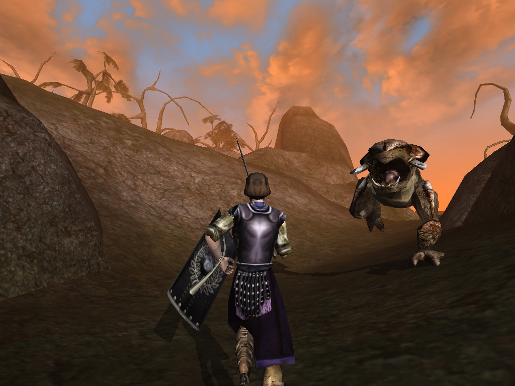 Скриншот из игры Elder Scrolls 3: Morrowind, The под номером 38