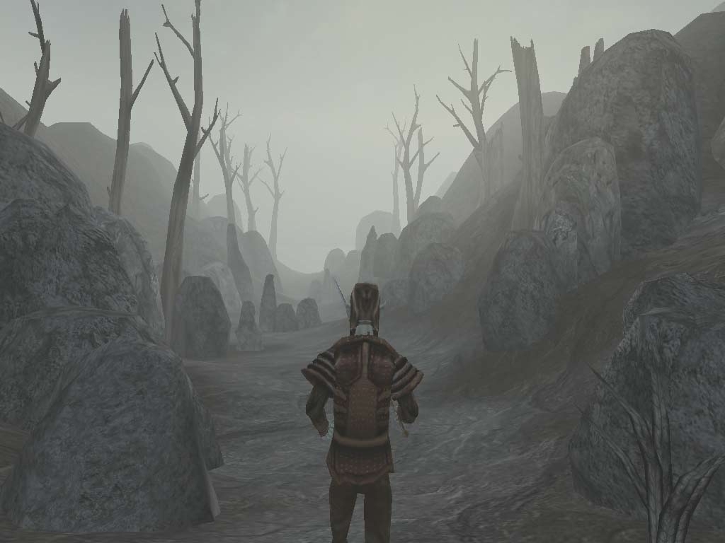Скриншот из игры Elder Scrolls 3: Morrowind, The под номером 50