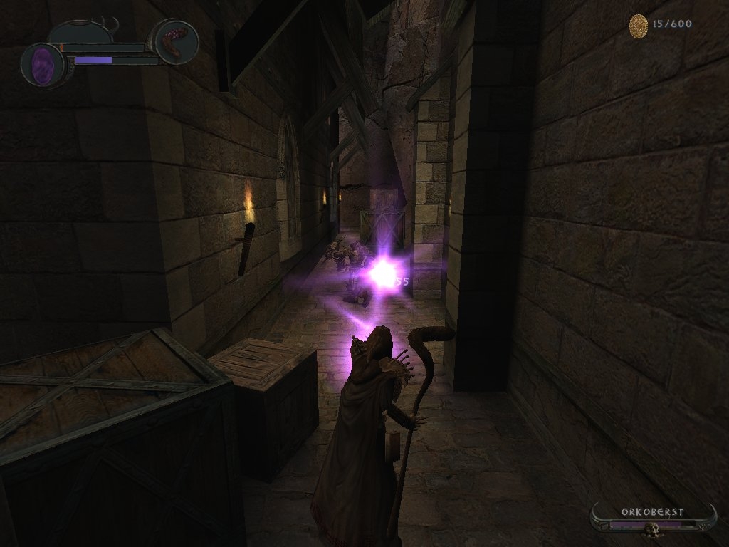 Скриншот из игры Enclave под номером 2