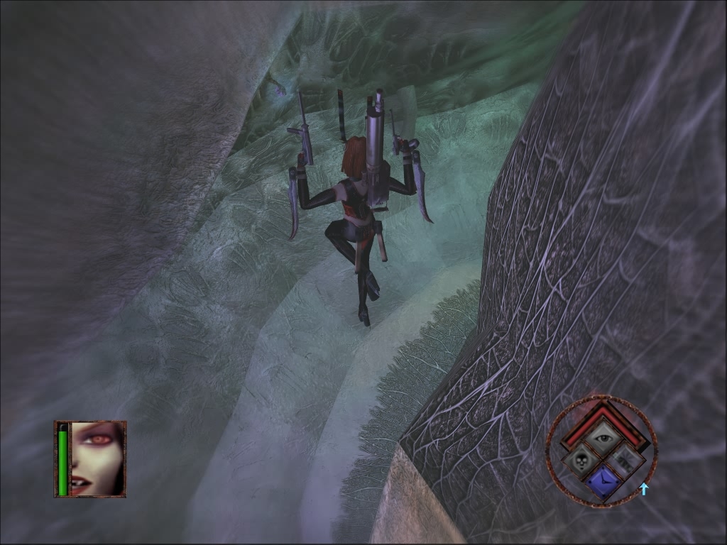 Скриншот из игры BloodRayne под номером 23