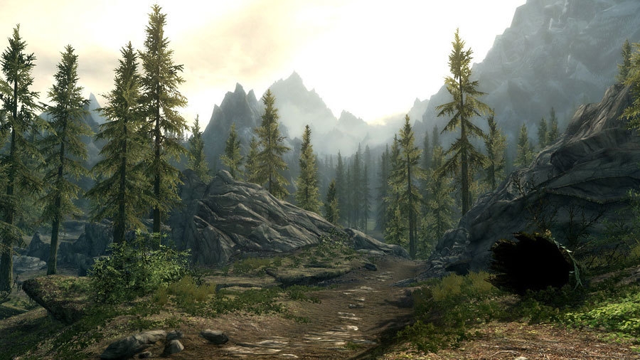 Скриншот из игры Elder Scrolls 5: Skyrim, The под номером 10