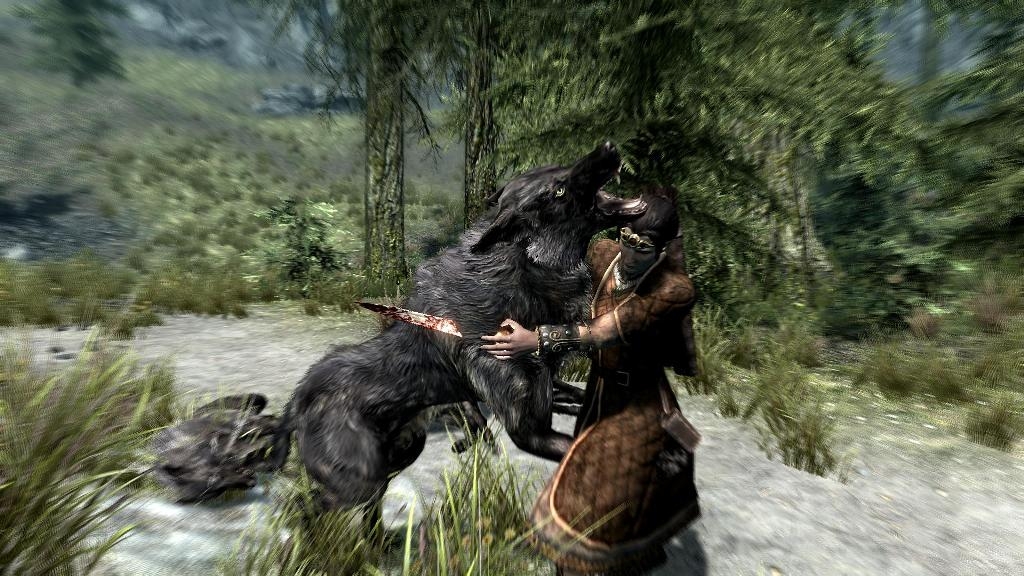 Скриншот из игры Elder Scrolls 5: Skyrim, The под номером 132