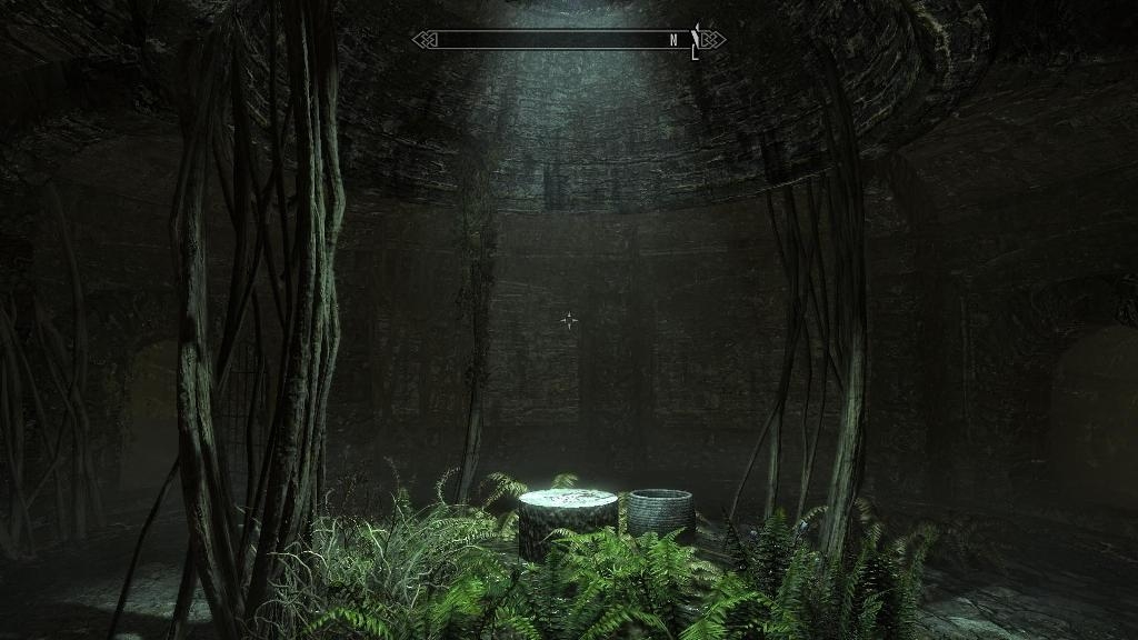 Скриншот из игры Elder Scrolls 5: Skyrim, The под номером 141
