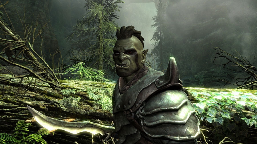 Скриншот из игры Elder Scrolls 5: Skyrim, The под номером 15