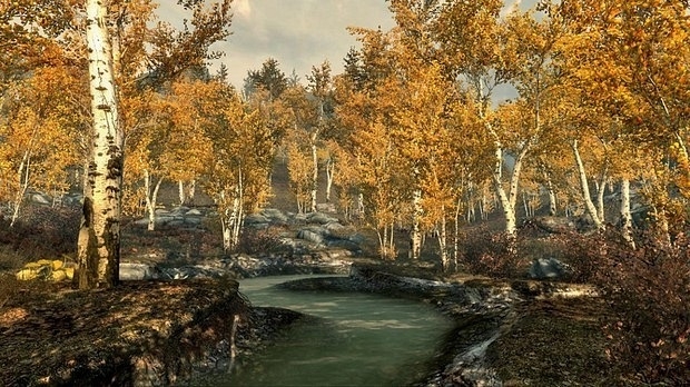 Скриншот из игры Elder Scrolls 5: Skyrim, The под номером 18