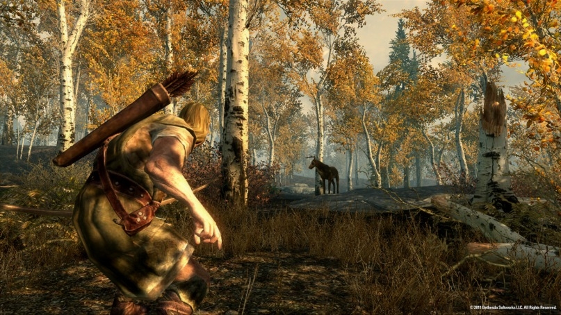Скриншот из игры Elder Scrolls 5: Skyrim, The под номером 19
