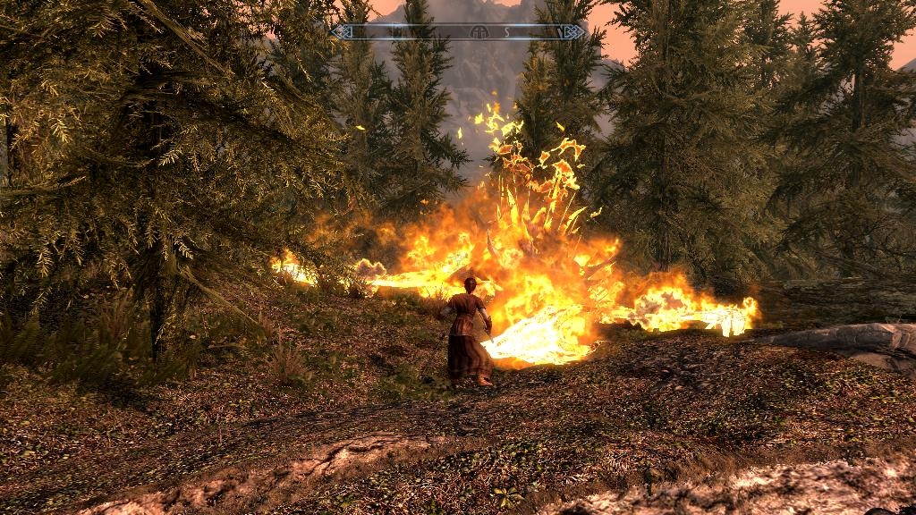 Скриншот из игры Elder Scrolls 5: Skyrim, The под номером 193