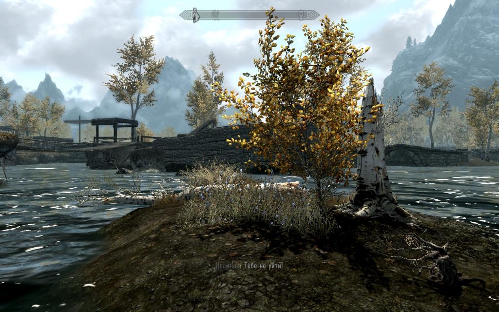 Скриншот из игры Elder Scrolls 5: Skyrim, The под номером 208
