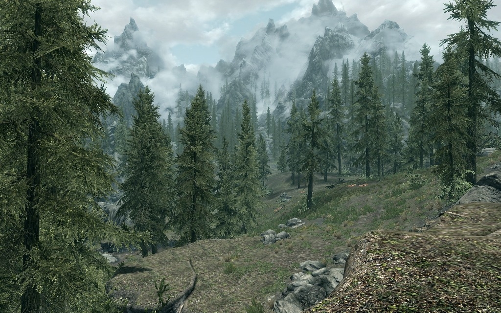 Скриншот из игры Elder Scrolls 5: Skyrim, The под номером 60