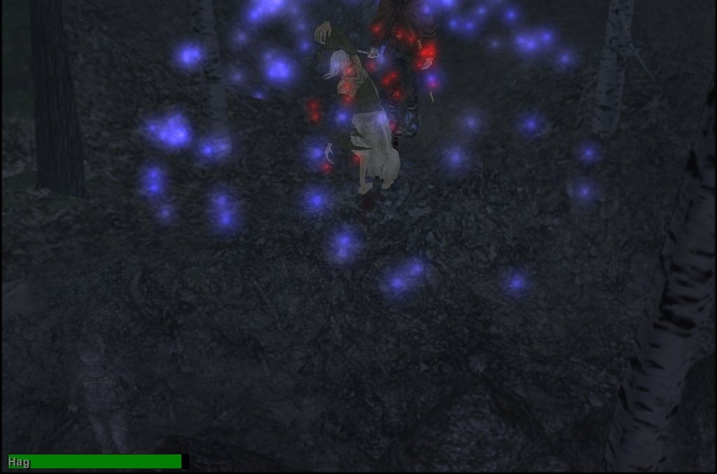 Скриншот из игры Blair Witch Project: Episode 2 The Legend of Coffin Rock под номером 30
