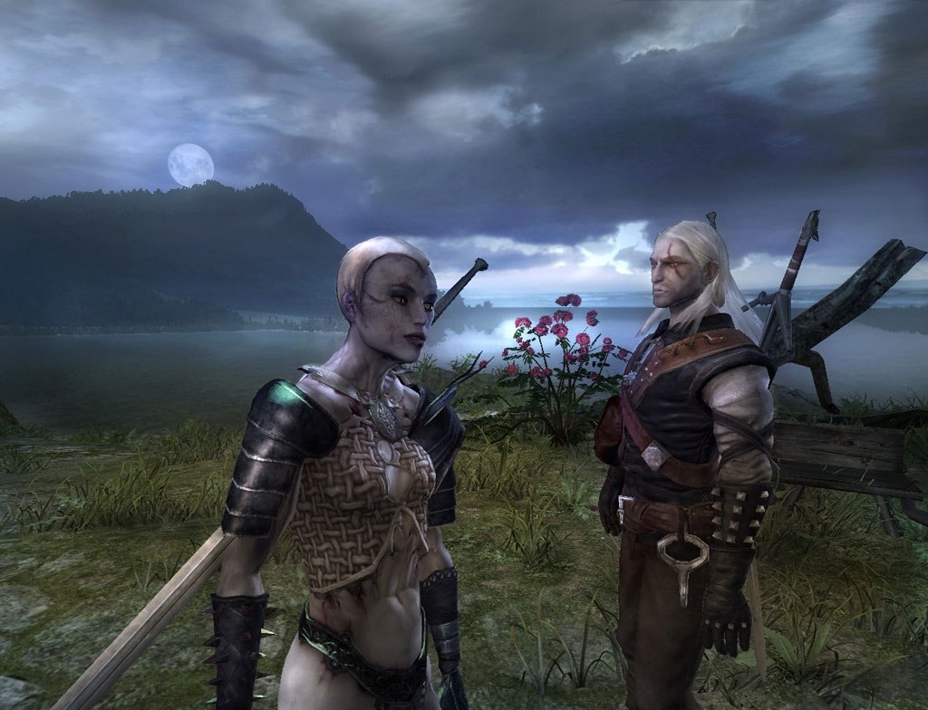Скриншот из игры Witcher: Enhanced Edition, The под номером 5
