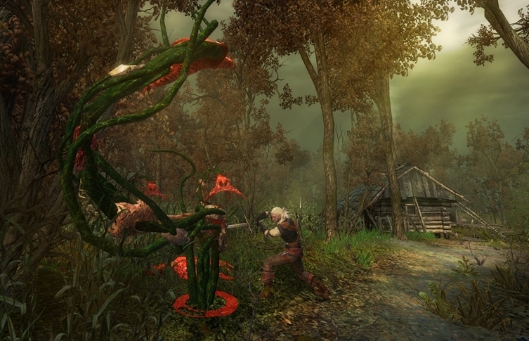 Скриншот из игры Witcher: Enhanced Edition, The под номером 8