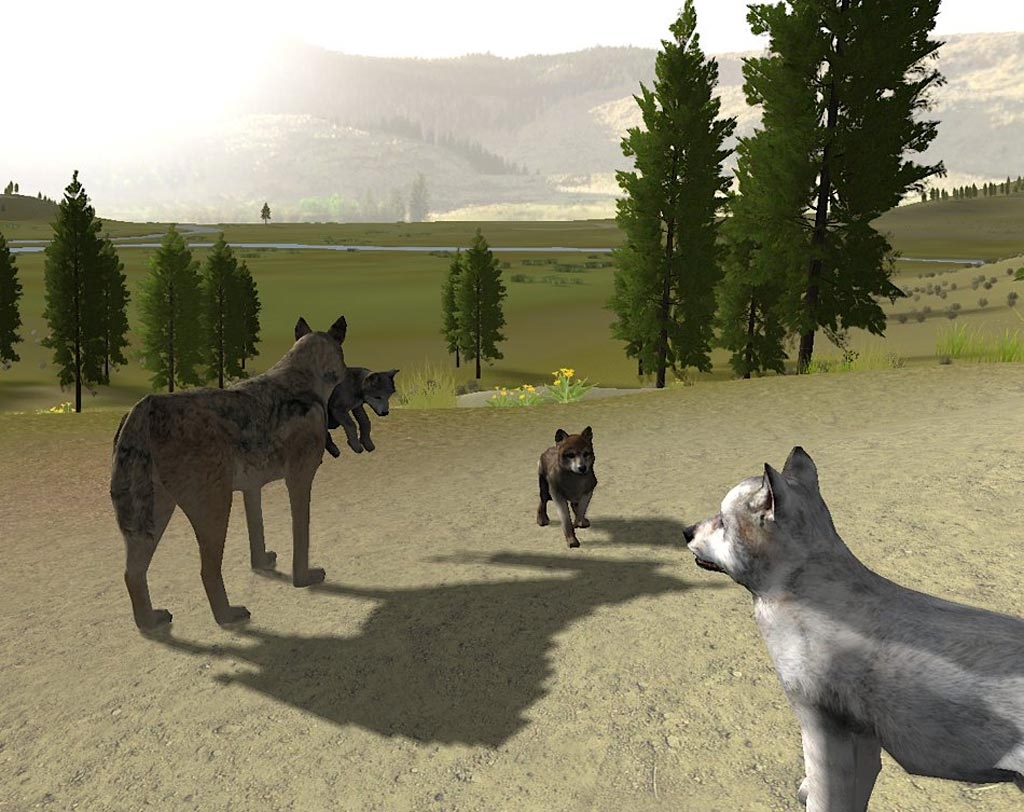 Игры wolf 2. WOLFQUEST. WOLFQUEST Anniversary Edition щенки. WOLFQUEST 2. Игра Wolf Quest игра.