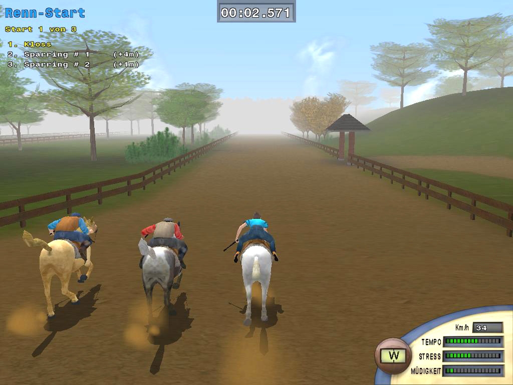 Скриншот из игры Championship Horse Trainer под номером 6