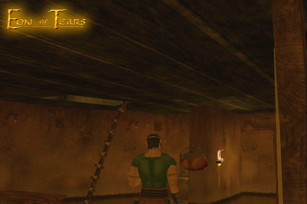 Скриншот из игры Eon of Tears под номером 1