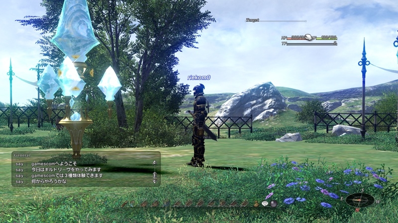 Скриншот из игры Final Fantasy XIV под номером 5