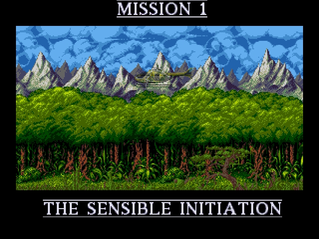 Скриншот из игры Cannon Fodder 1 под номером 7