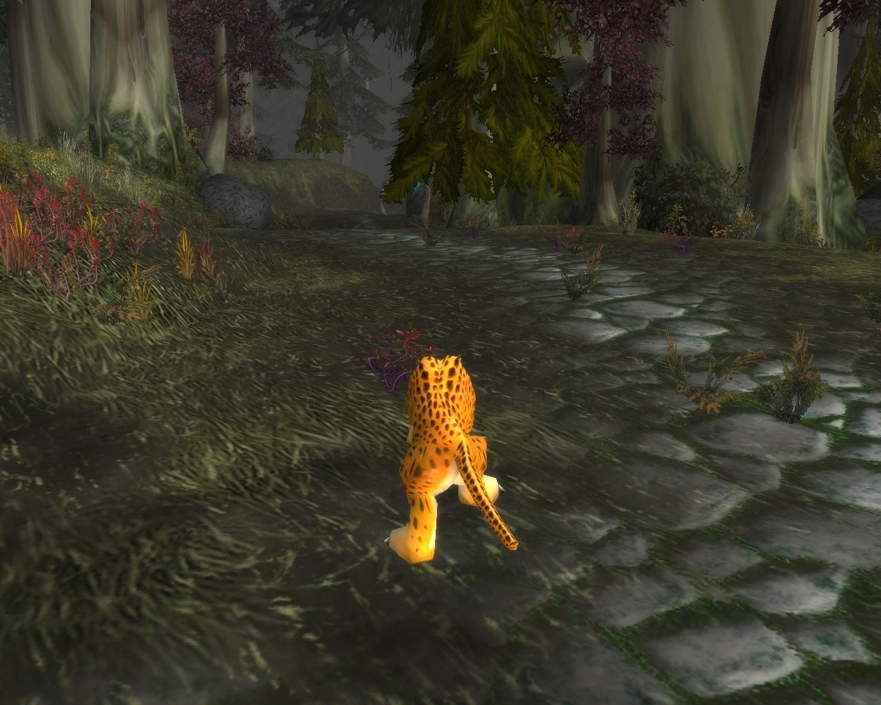 Скриншот из игры World of Warcraft: Wrath of the Lich King под номером 40