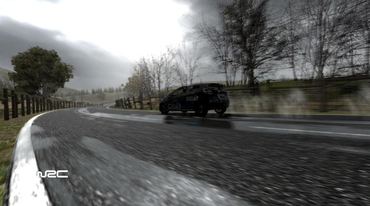 Скриншот из игры WRC: FIA World Rally Championship под номером 36