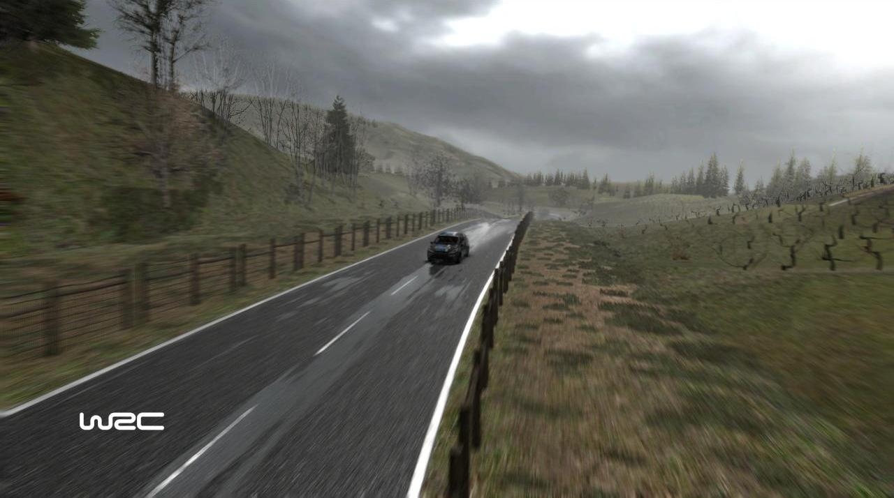 Скриншот из игры WRC: FIA World Rally Championship под номером 43