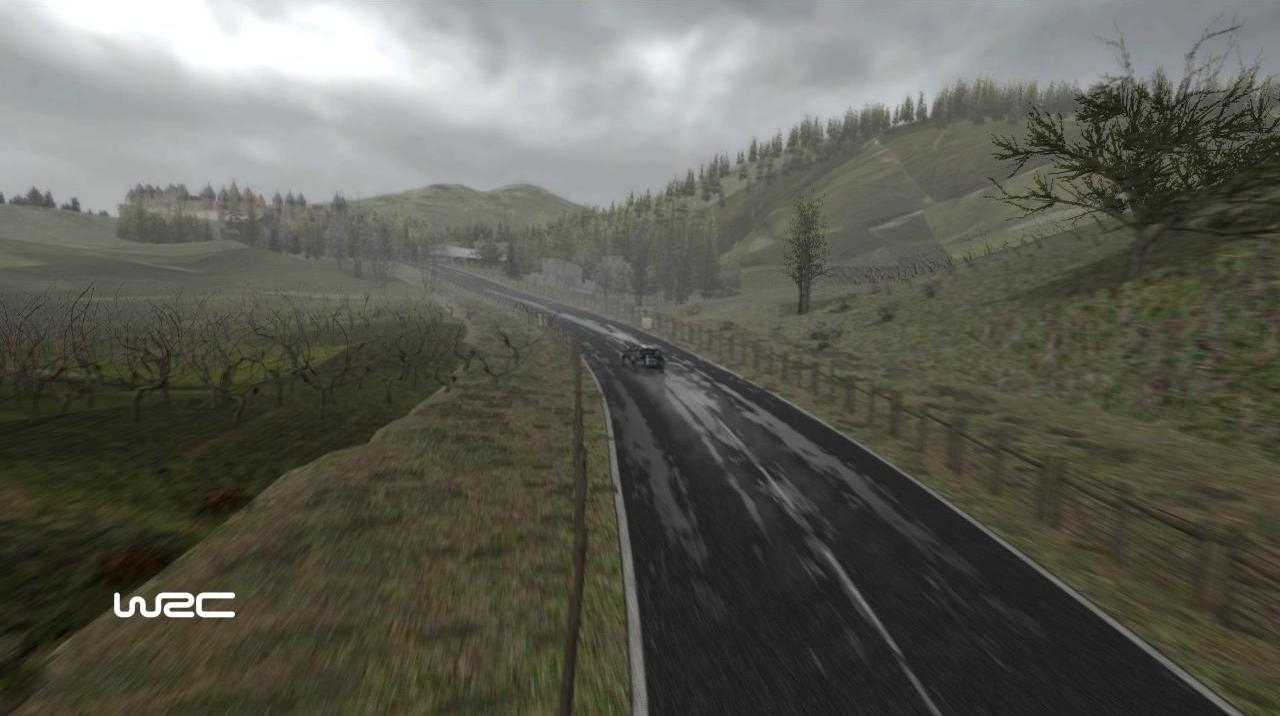 Скриншот из игры WRC: FIA World Rally Championship под номером 62