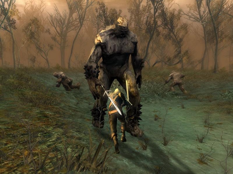Скриншот из игры Witcher под номером 1