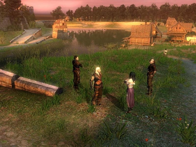 Скриншот из игры Witcher под номером 10