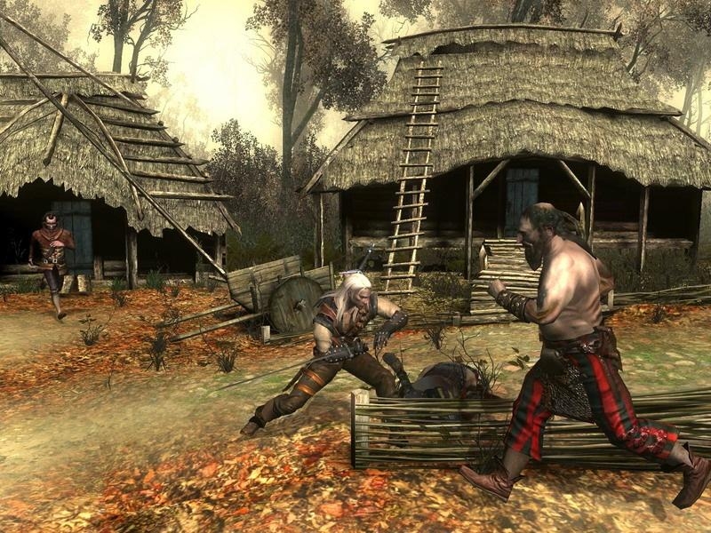 Скриншот из игры Witcher под номером 14