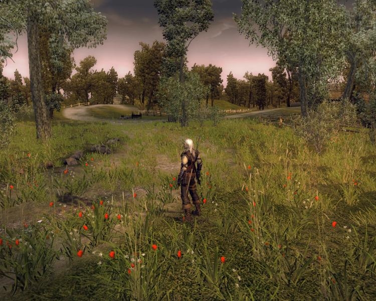Скриншот из игры Witcher под номером 18