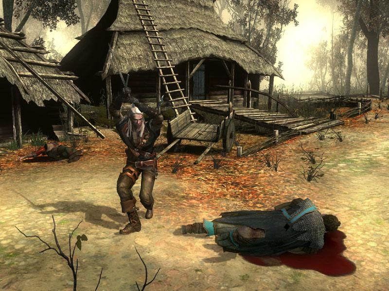 Скриншот из игры Witcher под номером 3