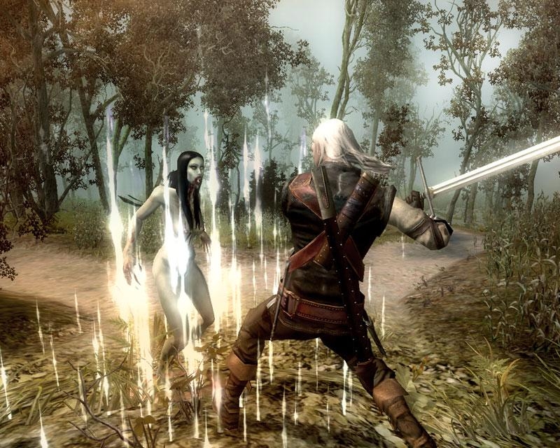 Скриншот из игры Witcher под номером 36